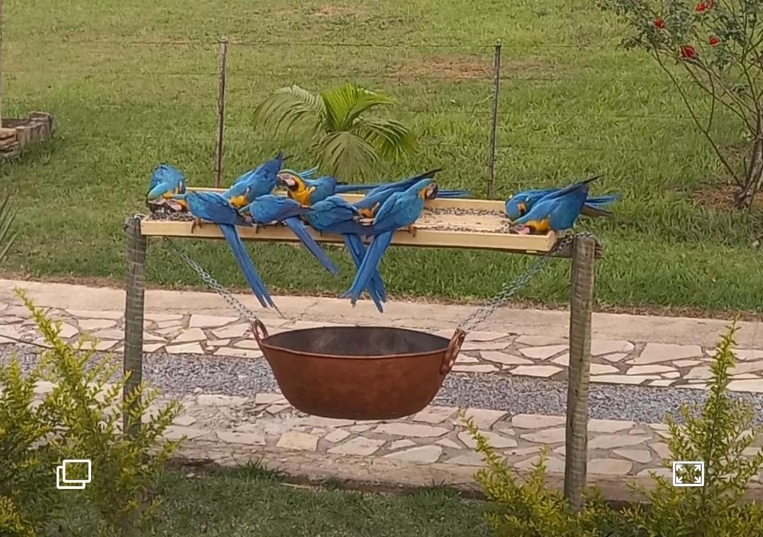 Pousada Canto Dos Passaros Alto Paraíso de Goiás المظهر الخارجي الصورة