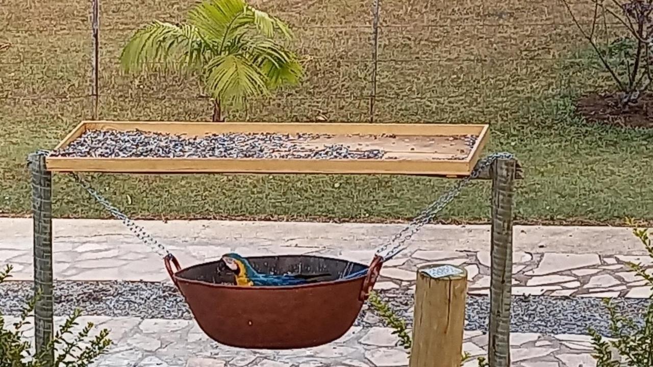 Pousada Canto Dos Passaros Alto Paraíso de Goiás المظهر الخارجي الصورة